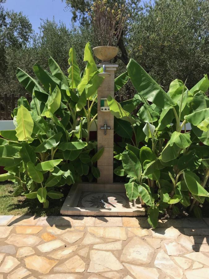 Villa Elea Lithakia  Dış mekan fotoğraf