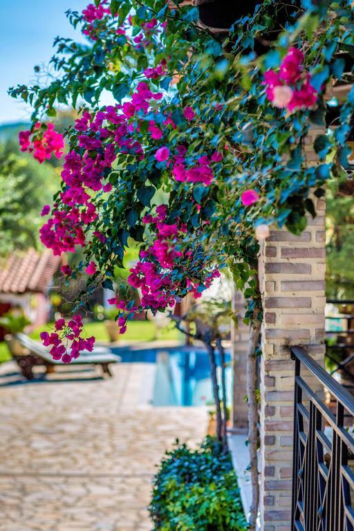 Villa Elea Lithakia  Dış mekan fotoğraf