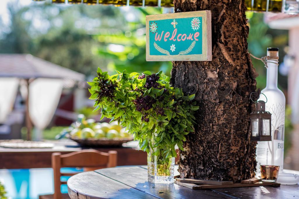 Villa Elea Lithakia  Dış mekan fotoğraf